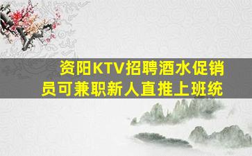 资阳KTV招聘酒水促销员可兼职新人直推上班统